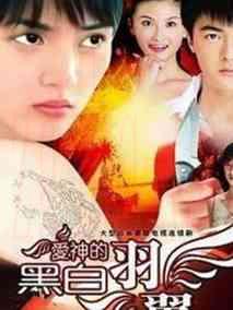 《爱神的黑白羽翼》共20集_2008大陆电视剧全集剧情文案