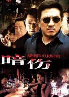 《暗伤》共31集_内地电视剧全集剧情文案