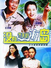 《没有冬天的海岛》共20集_2002大陆电视剧全集剧情文案