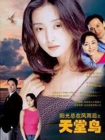 《天堂鸟》共20集_2003大陆电视剧全集剧情文案