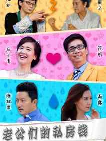 《老公们的私房钱》共47集_大陆电视剧全集剧情文案