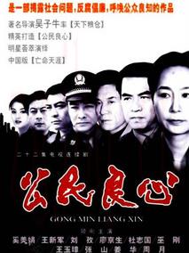 《公民良心》共22集_大陆电视剧全集剧情文案