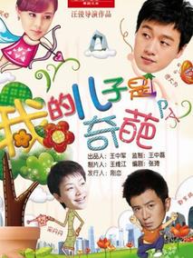 《我的儿子是奇葩》共36集_2014大陆电视剧全集剧情文案