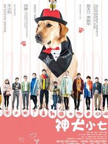 《神犬小七第一季》共38集_大陆电视剧全集剧情文案
