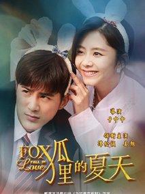 《狐狸的夏天第二季》共23集_2017大陆电视剧全集剧情文案