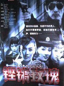 《铿锵玫瑰》共20集_大陆电视剧全集剧情文案